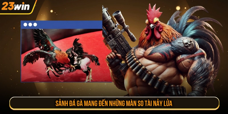 Sảnh đá gà mang đến những màn so tài nảy lửa